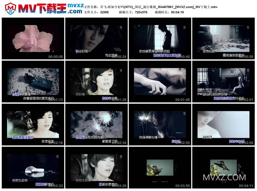 许飞-你如今好吗(MTV)_国语_流行歌曲_MA407861
